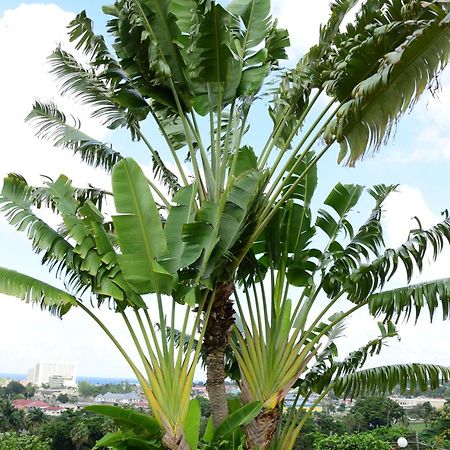 The View At Mystic Ridge Penthouse 78A Apartment Ocho Rios Exterior foto