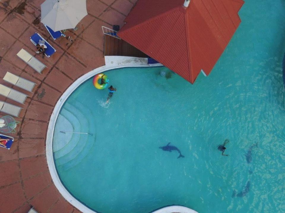The View At Mystic Ridge Penthouse 78A Apartment Ocho Rios Exterior foto