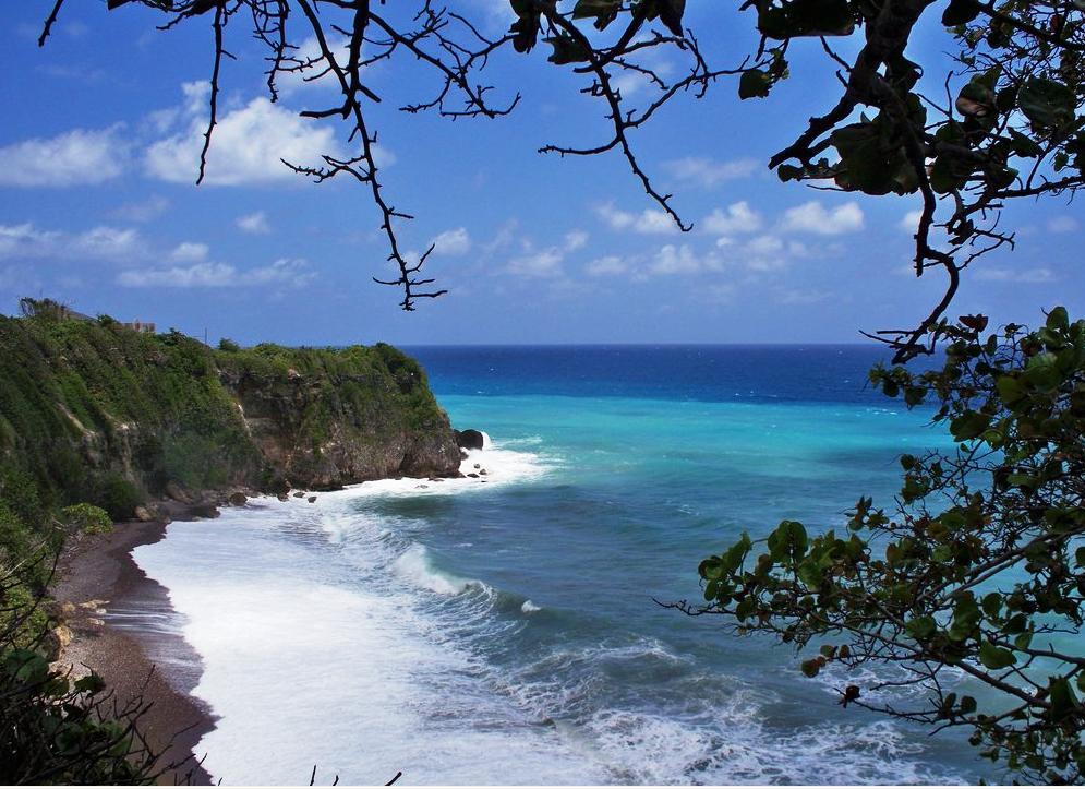 The View At Mystic Ridge Penthouse 78A Apartment Ocho Rios Exterior foto